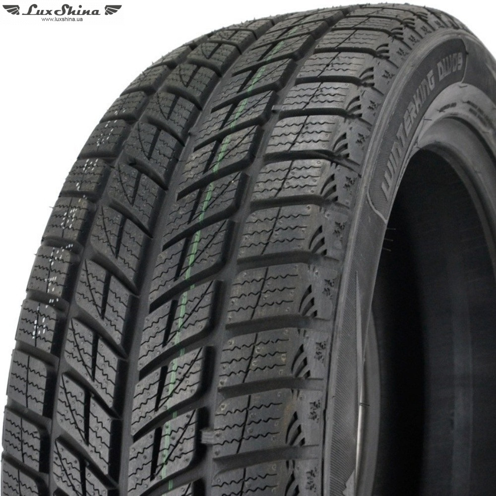 Doublestar WINTERKING DW09 215/55 R18 95H