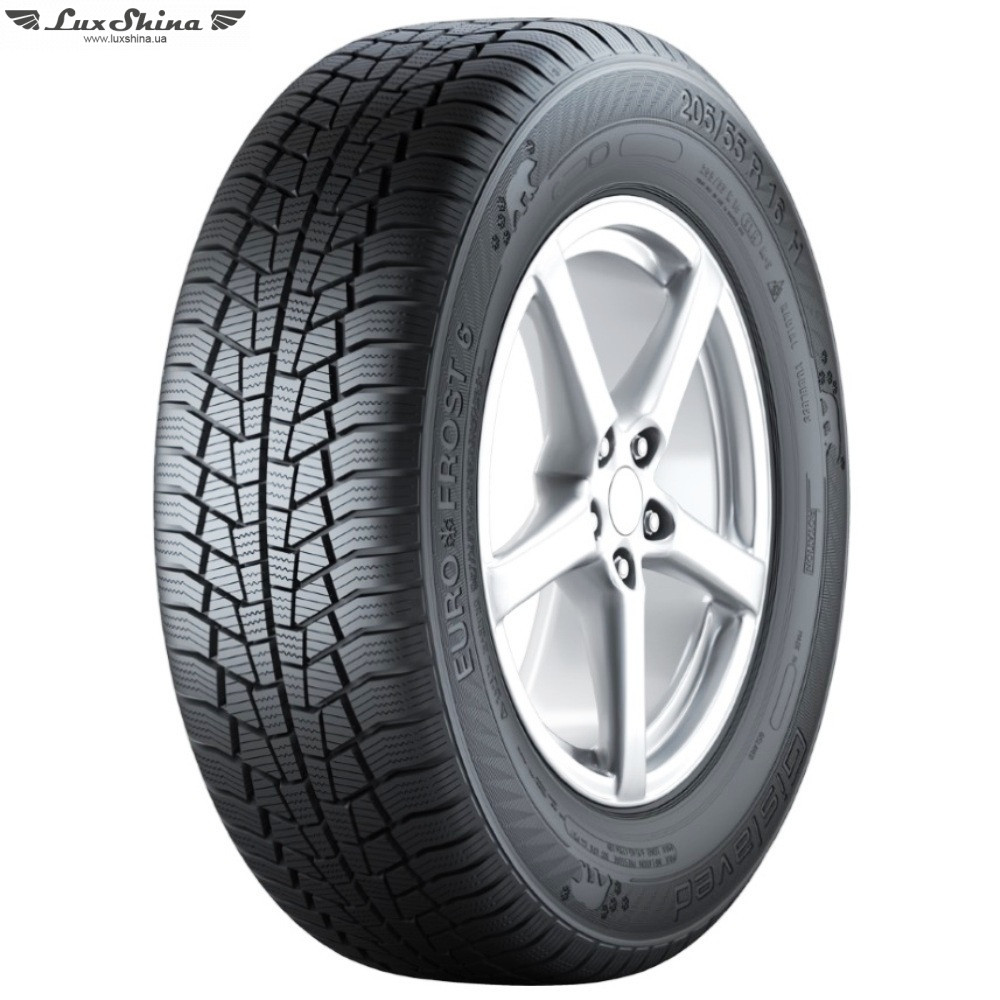 Gislaved Euro Frost 6 205/65 R15 94T
