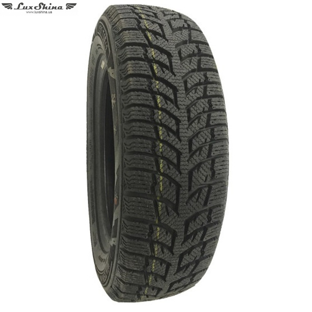 Doublestar WINTERKING DW08 175/65 R15 84T